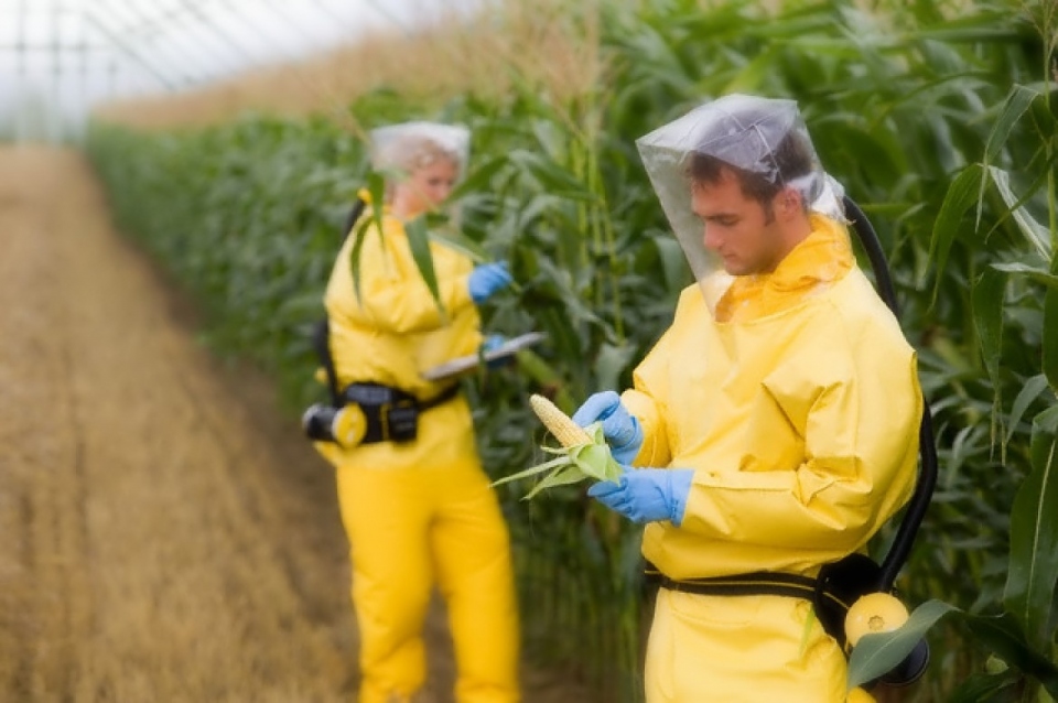 ​Global GMO Free Coalition Set to Help Fund World’s Largest GMO Safety Study